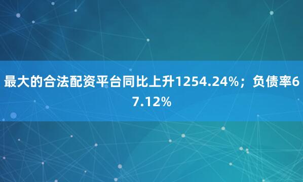 最大的合法配资平台同比上升1254.24%；负债率67.12%