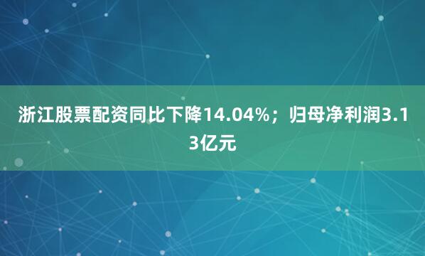 浙江股票配资同比下降14.04%；归母净利润3.13亿元