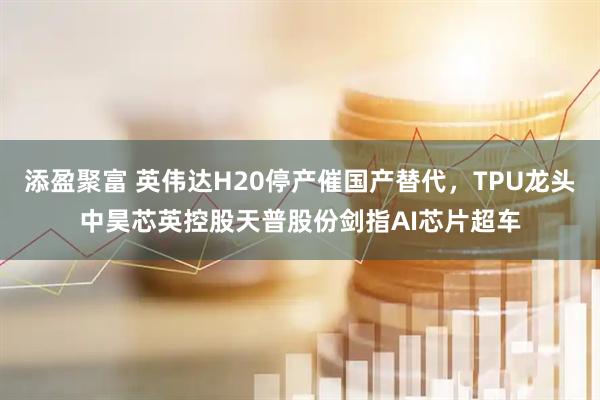 添盈聚富 英伟达H20停产催国产替代，TPU龙头中昊芯英控股天普股份剑指AI芯片超车